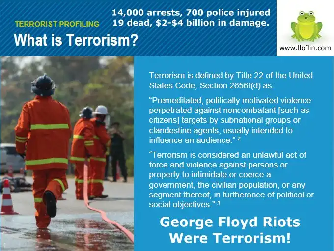 George Floyd riots were terrorism.