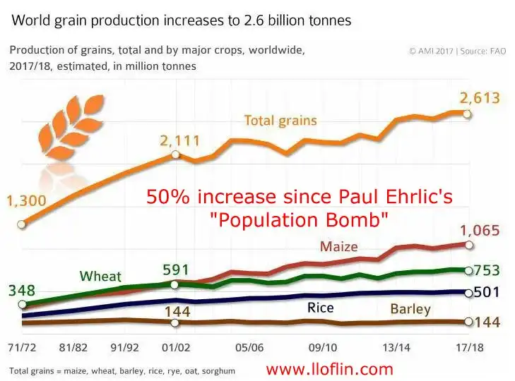 World Grain Production