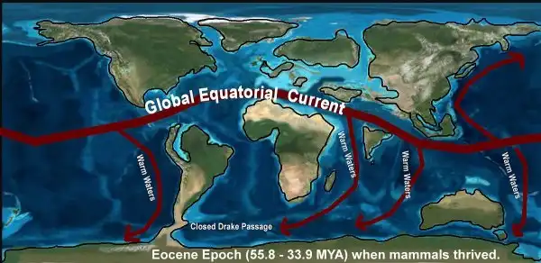 Eocene Epoch ocean currents 55.8 – 33.9 MYA when mammals thrived.