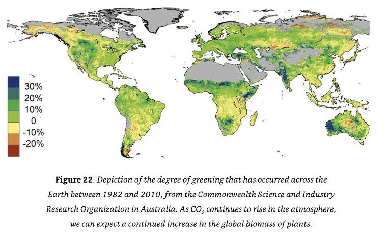 Expanding plant growth due to higher CO2 levels.