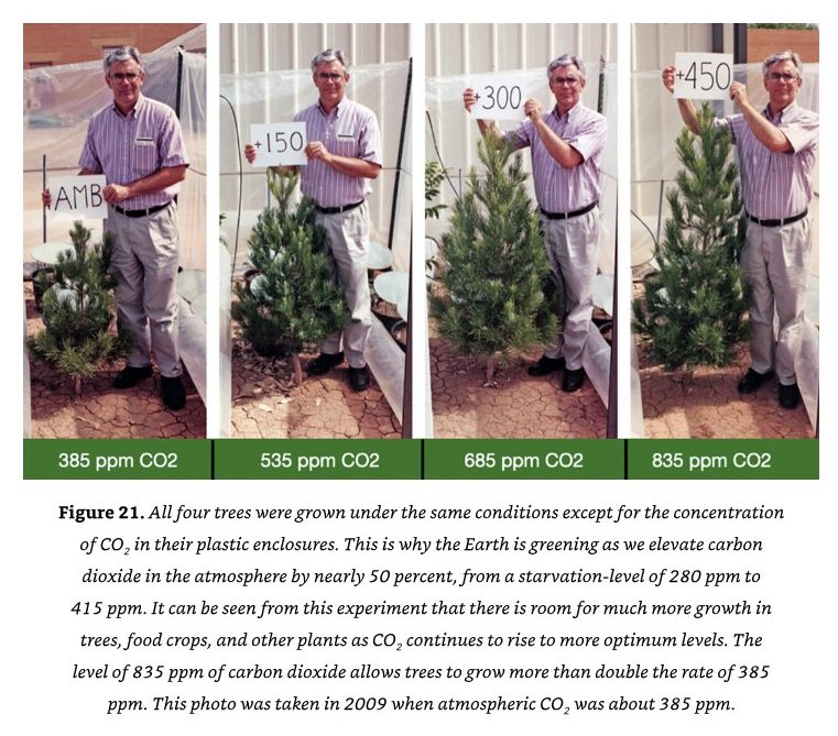 Comparison of tree growth with higher CO2 levels. CO2 is plant food.
