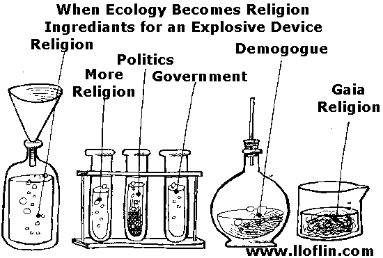 Ecology as religion.